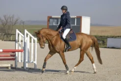 PRO SERIES Steppjacke Diagonal