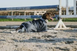 RIDING WORLD - Eco 600D - Hundedecke