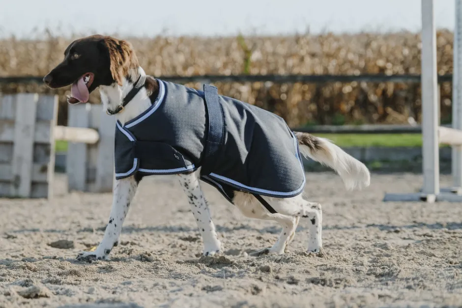 RIDING WORLD - Eco 600D - Hundedecke