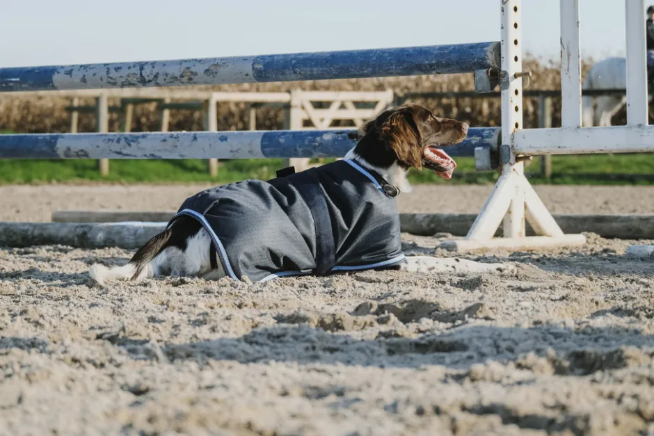 RIDING WORLD - Eco 600D - Hundedecke