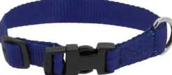 RIDING WORLD - Pat - Hundehalsband