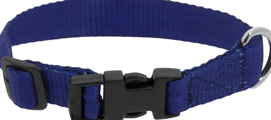 RIDING WORLD - Pat - Hundehalsband