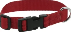 RIDING WORLD - Pat - Hundehalsband