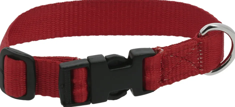 RIDING WORLD - Pat - Hundehalsband