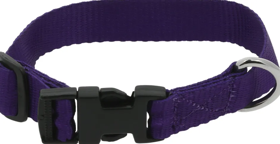 RIDING WORLD - Pat - Hundehalsband