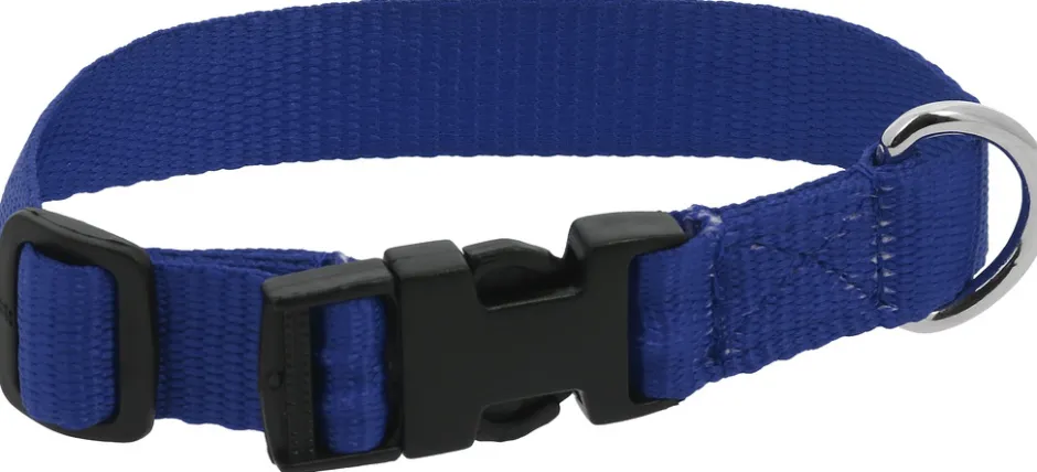 RIDING WORLD - Pat - Hundehalsband