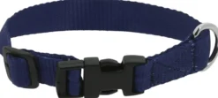RIDING WORLD - Pat - Hundehalsband