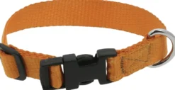 RIDING WORLD - Pat - Hundehalsband