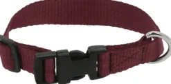 RIDING WORLD - Pat - Hundehalsband
