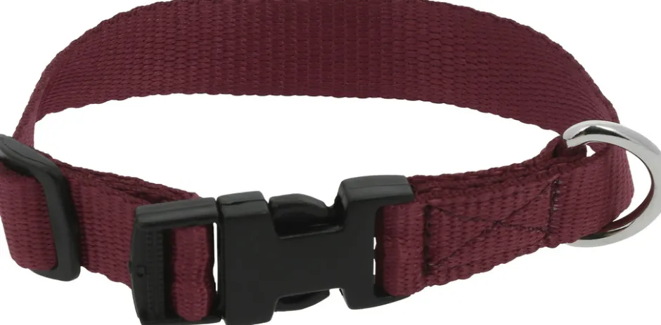 RIDING WORLD - Pat - Hundehalsband