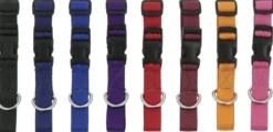 RIDING WORLD - Pat - Hundehalsband