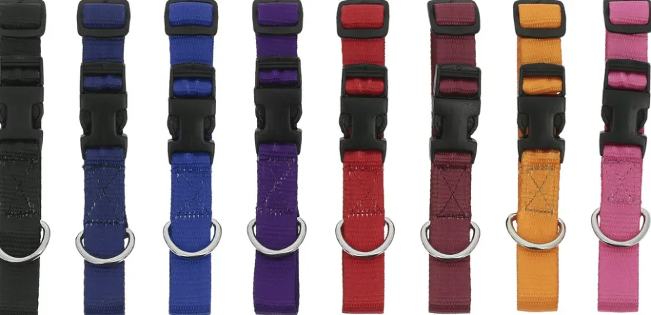 RIDING WORLD - Pat - Hundehalsband