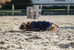 RIDING WORLD Fleecedecke für Hund