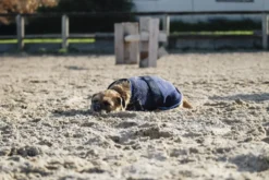 RIDING WORLD Fleecedecke für Hund