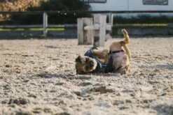 RIDING WORLD Fleecedecke für Hund