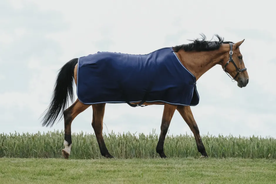 RIDING WORLD Abschwitzdecke