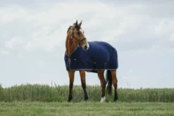 RIDING WORLD Abschwitzdecke
