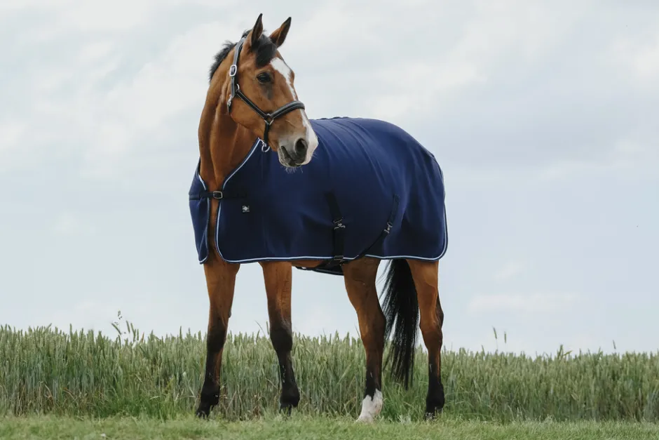 RIDING WORLD Abschwitzdecke