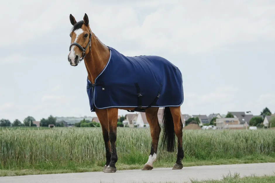RIDING WORLD Abschwitzdecke