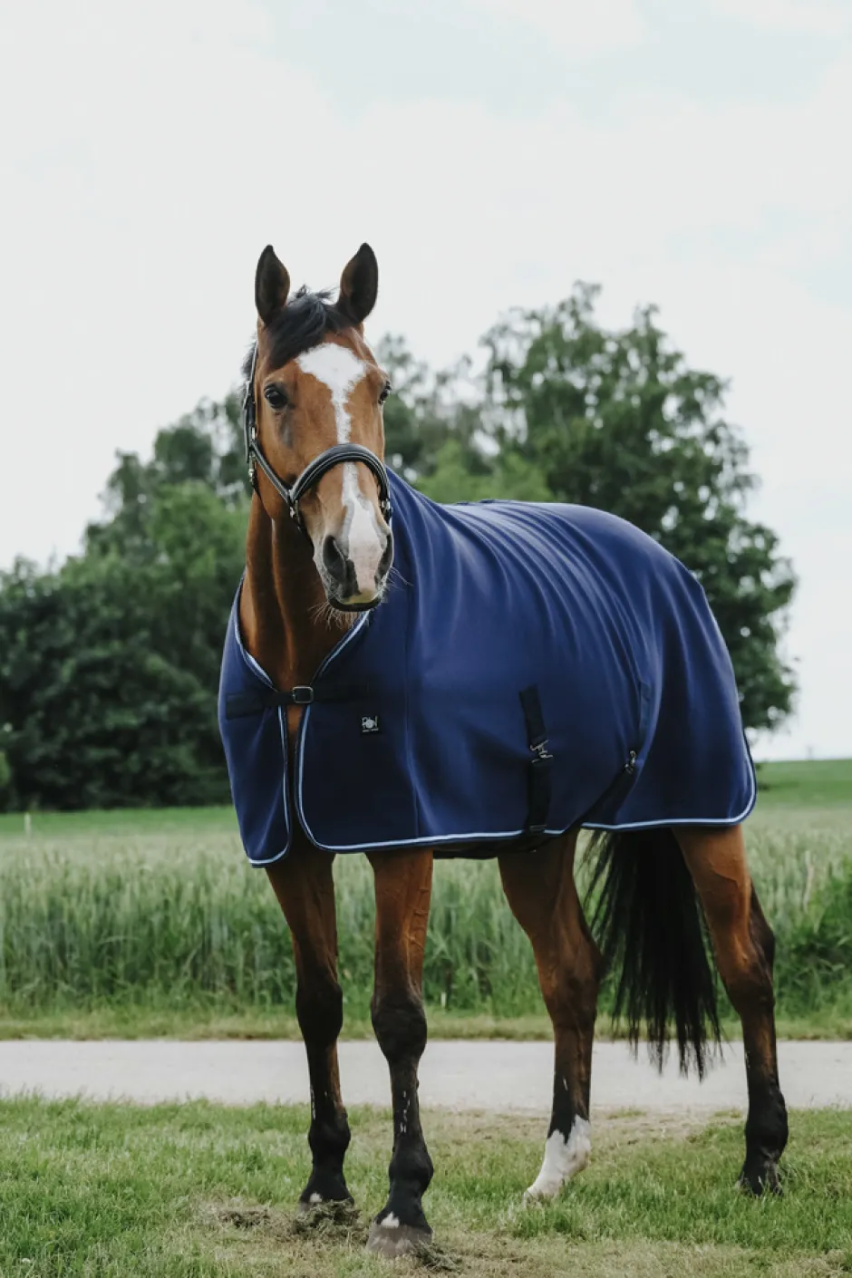 RIDING WORLD Abschwitzdecke