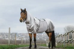 RIDING WORLD Anti-Ekzem-Decke