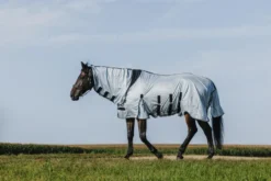 RIDING WORLD - Belly Mesh - Combo Decke