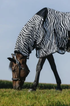 RIDING WORLD - Belly Mesh - Combo Decke