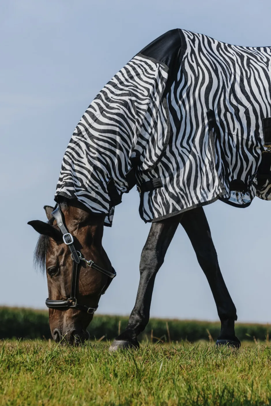 RIDING WORLD - Belly Mesh - Combo Decke