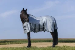 RIDING WORLD - Belly Mesh - Decke
