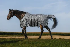 RIDING WORLD - Belly Mesh - Decke