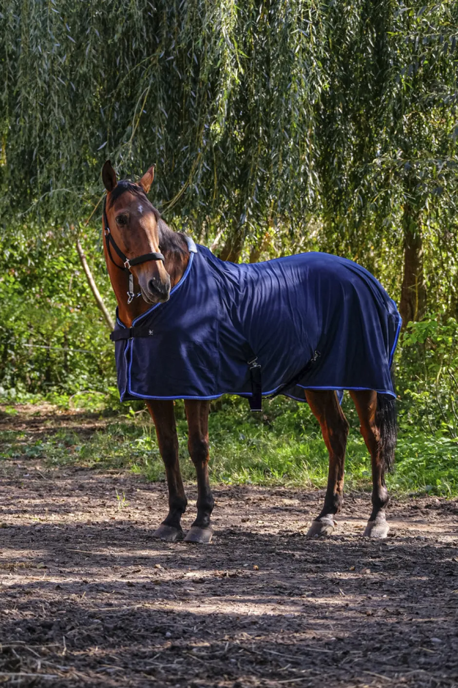RIDING WORLD Decke mit feinem Netzgewebe
