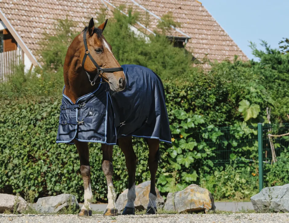RIDING WORLD Eco 600D Decke