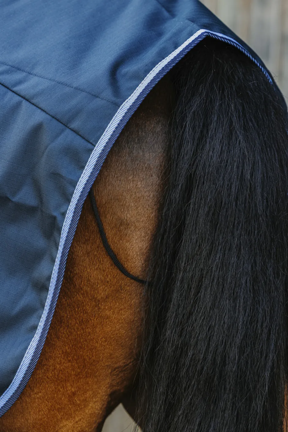 RIDING WORLD - Eco 600D - Nierendecke