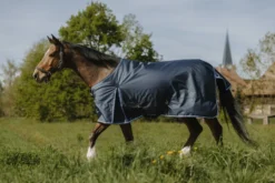 RIDING WORLD Eco 1200D Outdoor Decke