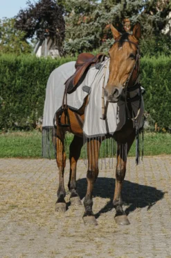 RIDING WORLD Fliegenschutz-Ausreitdecke