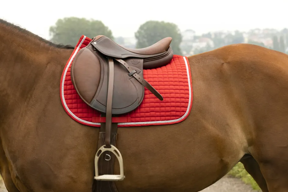 RIDING WORLD „Girly Schabracke