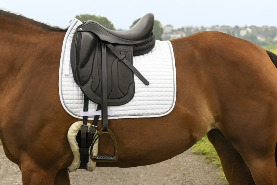 RIDING WORLD „Girly Schabracke