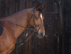 RIDING WORLD Gogue mit Umlenkrollen