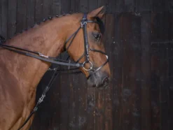 RIDING WORLD Gogue-Zügel aus Leder