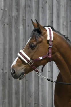 RIDING WORLD Halfter aus synthetischem Schaffell
