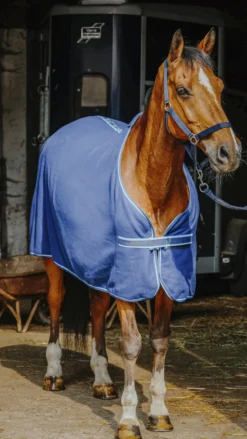 RIDING WORLD Komplettes Set