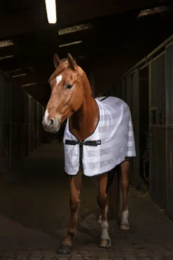 RIDING WORLD „Mesh“ Netzdecke