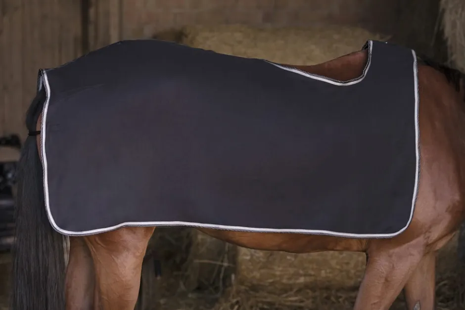 RIDING WORLD Nierendecke aus Polarfleece