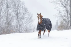 RIDING WORLD „Oxford wasserdichte Decke