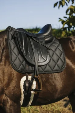 RIDING WORLD - School - Dressur Schabracken
