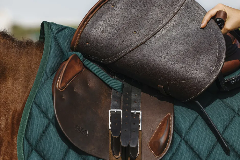 RIDING WORLD - School - Schabracken