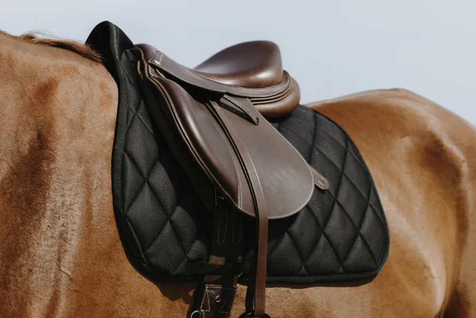 RIDING WORLD - School - Schabracken