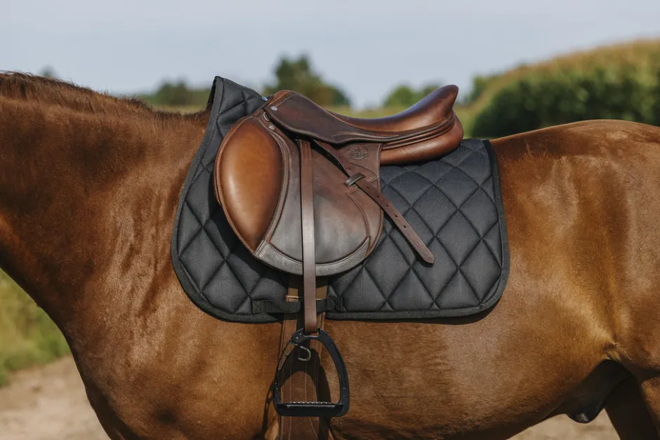 RIDING WORLD - School - Schabracken