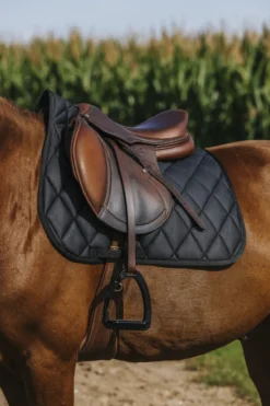 RIDING WORLD - School - Schabracken