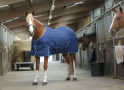 RIDING WORLD Stalldecke
